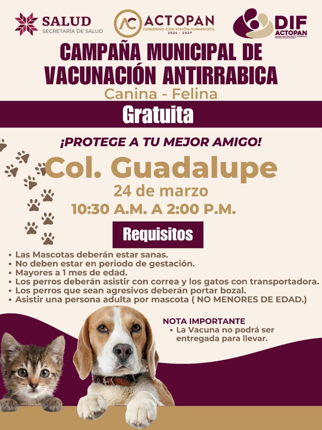 Campaña municipal de vacunación antirrábica