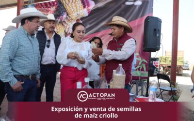 Exposición y venta de semillas de maíz criollo