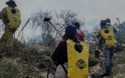 Respuesta coordinada logra sofocar incendio en cerro del Pilón
