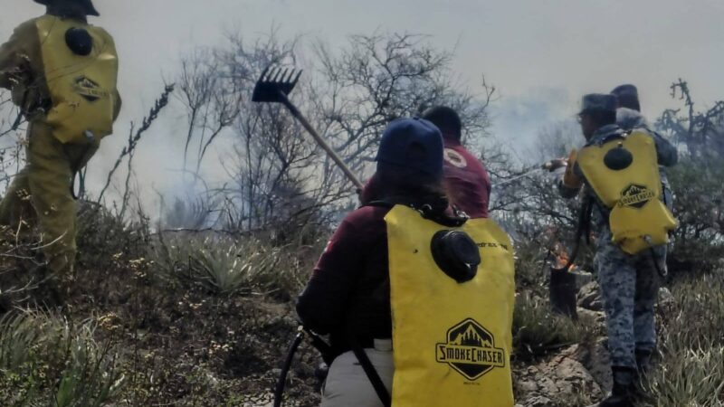 Respuesta coordinada logra sofocar incendio en cerro del Pilón