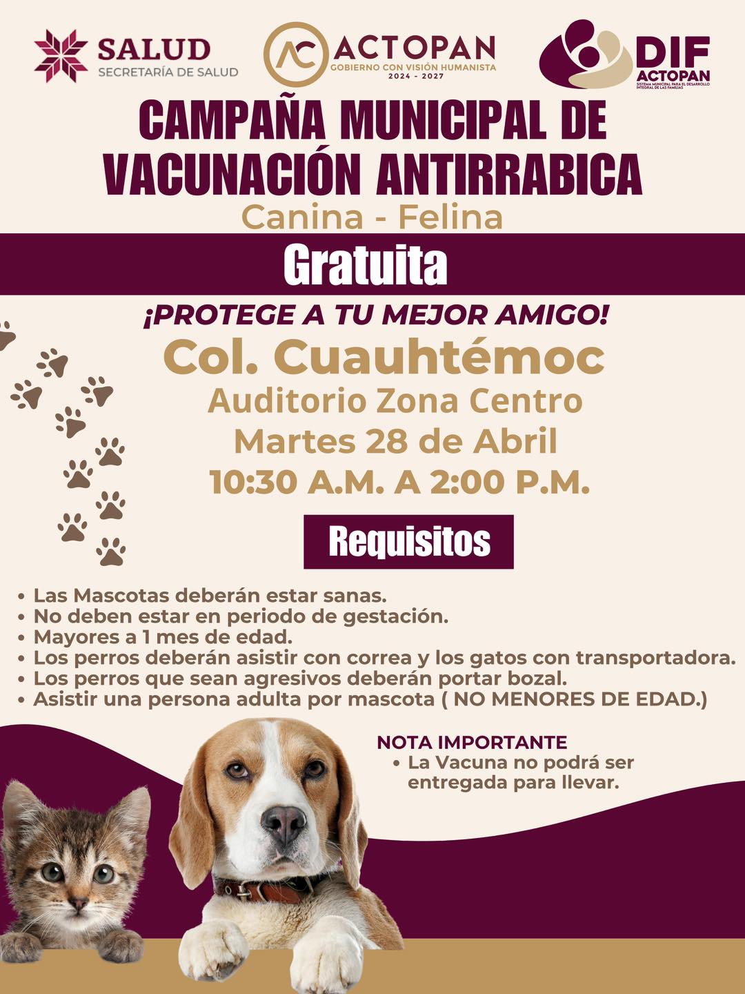 Protege a tu mejor amigo