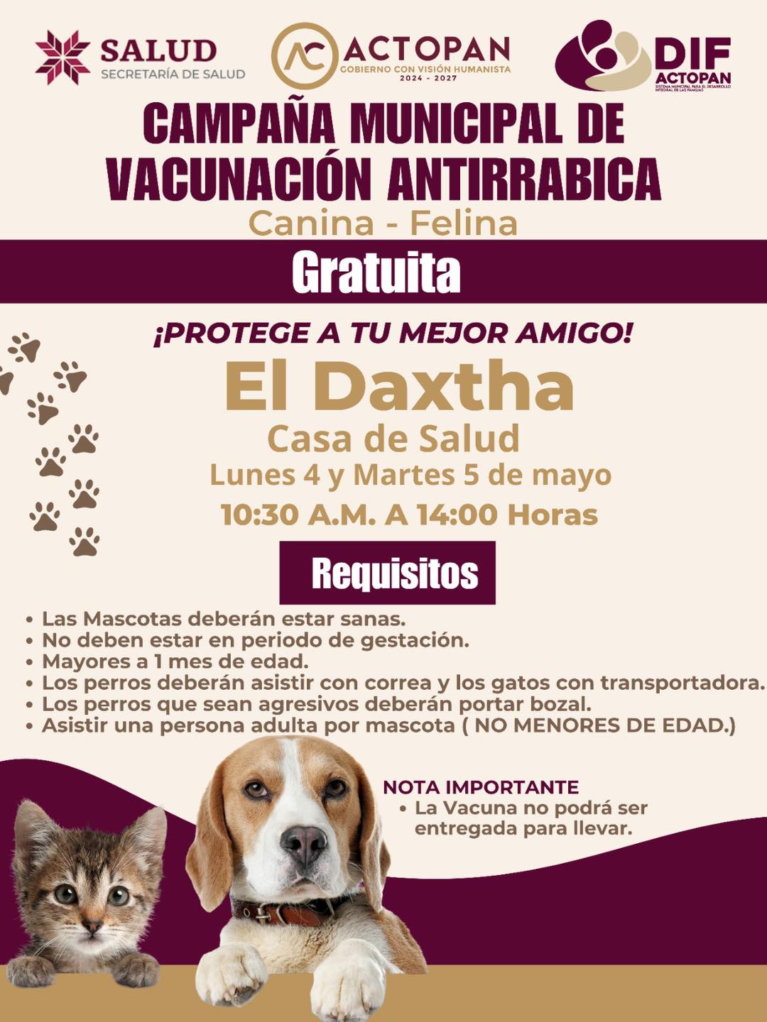 ¡Protege a tu mejor amigo!