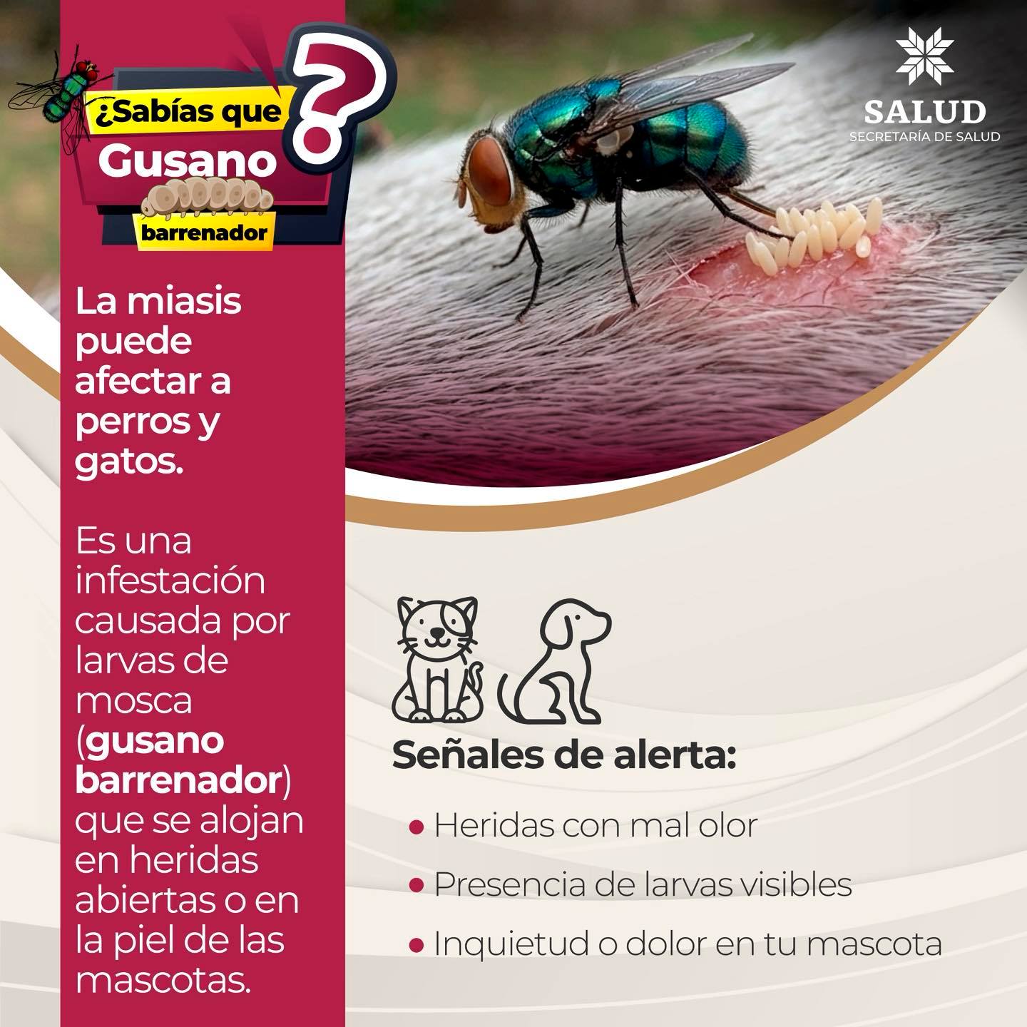 CUIDADO‼️