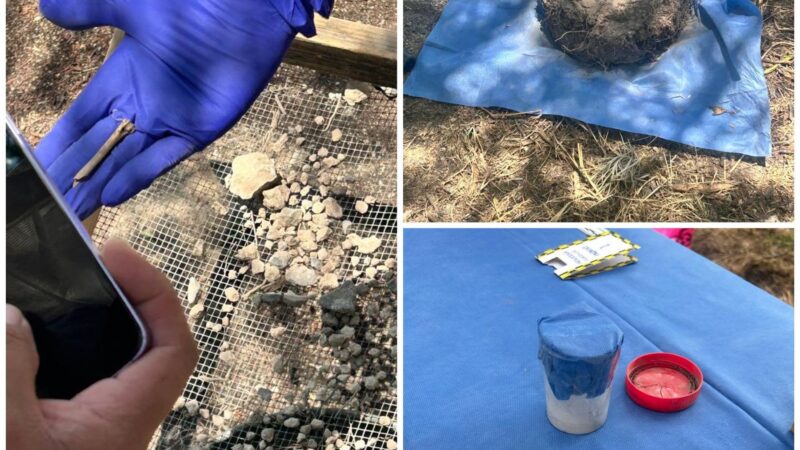 Aclara Gobierno Municipal información difundida sobre presunta fosa clandestina en Actopan