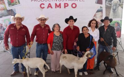 ¡Apoyo directo al campo! Benefician a ganaderos de la región con la entrega de vientres ovinos