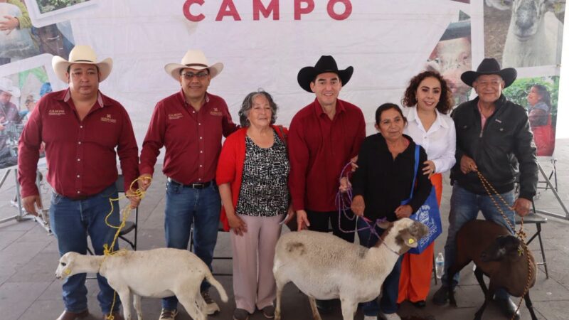 ¡Apoyo directo al campo! Benefician a ganaderos de la región con la entrega de vientres ovinos