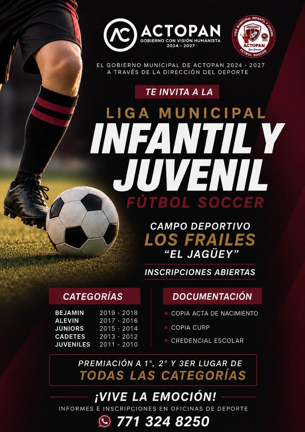 Liga Municipal Infantil y Juvenil