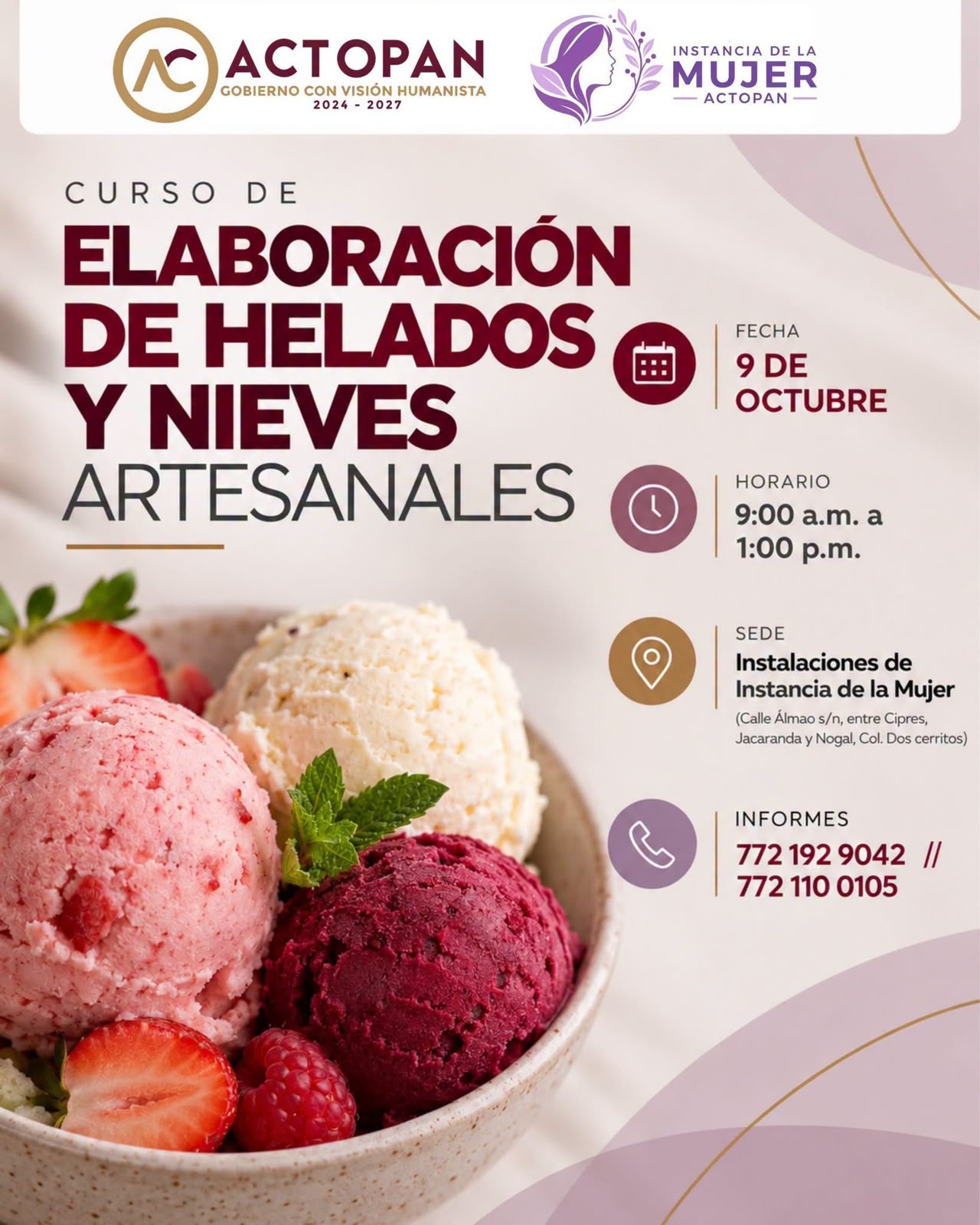 Curso de Elaboración de Helados y Nieves