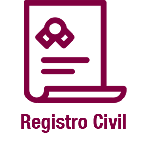 Registro del Estado Familiar